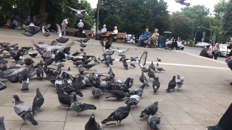 İstanbul \ Стамбул