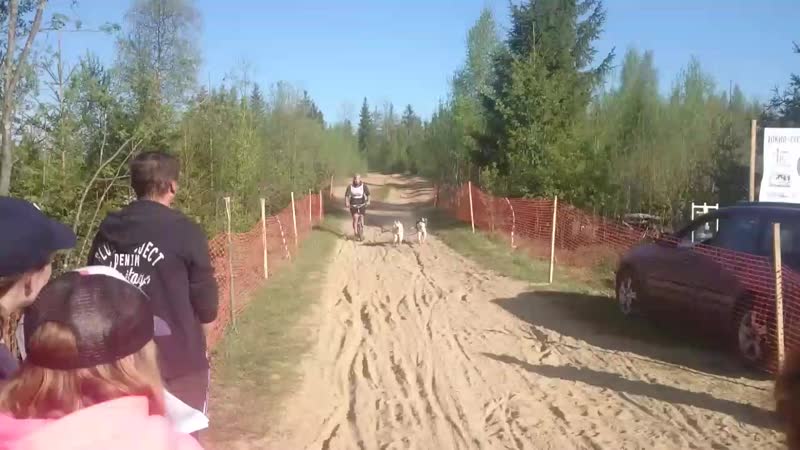 MOV_0229_001.mp4
