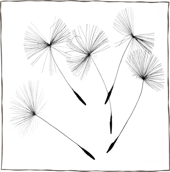 70