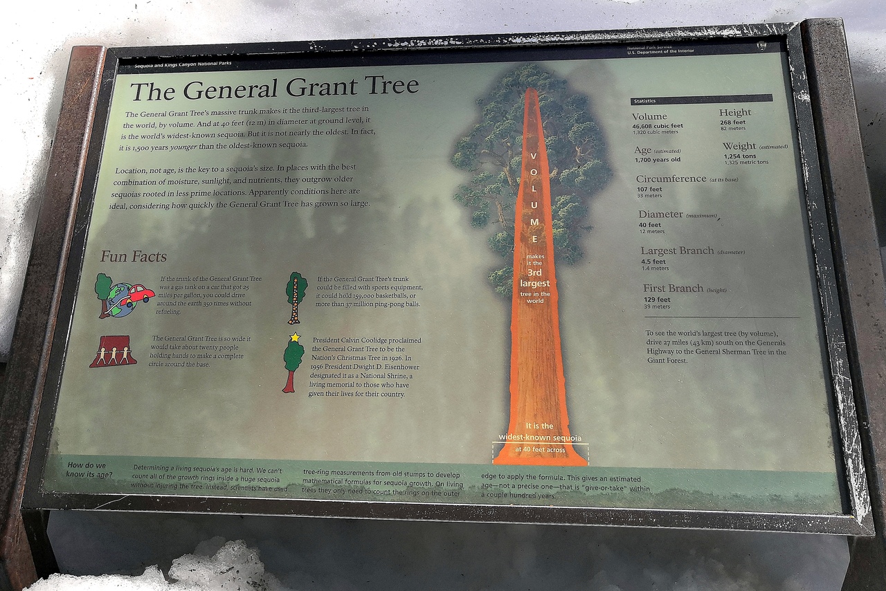 Ударим автопробегом по дикому западу! USA 2019 7-25 марта.