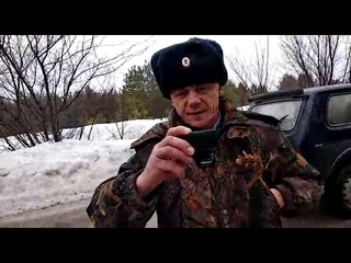 Мертвый лосенок на дороге в Самарской Луке