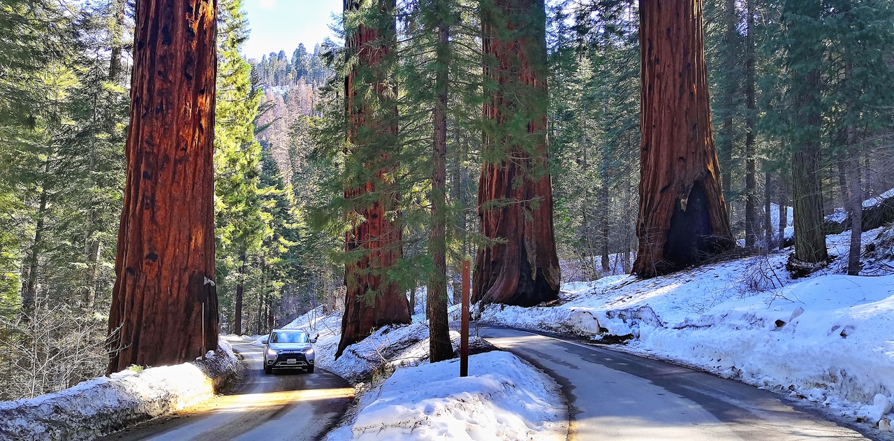 Ударим автопробегом по дикому западу! USA 2019 7-25 марта.