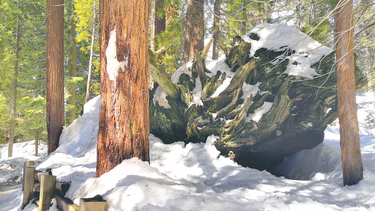 Ударим автопробегом по дикому западу! USA 2019 7-25 марта.