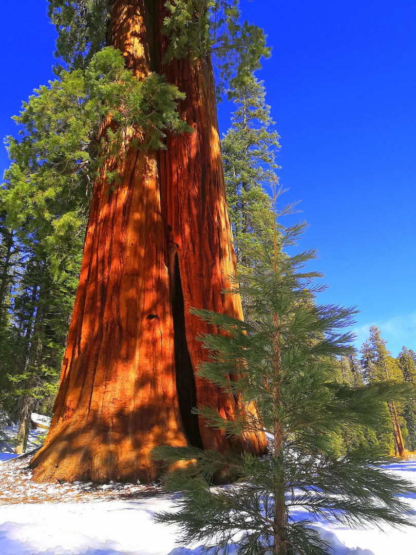 Ударим автопробегом по дикому западу! USA 2019 7-25 марта.