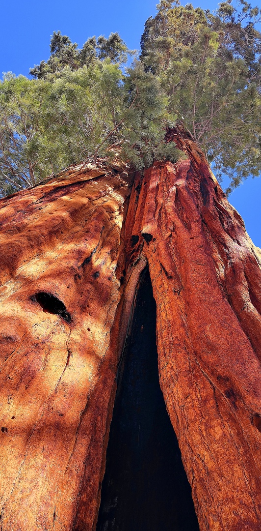 Ударим автопробегом по дикому западу! USA 2019 7-25 марта.