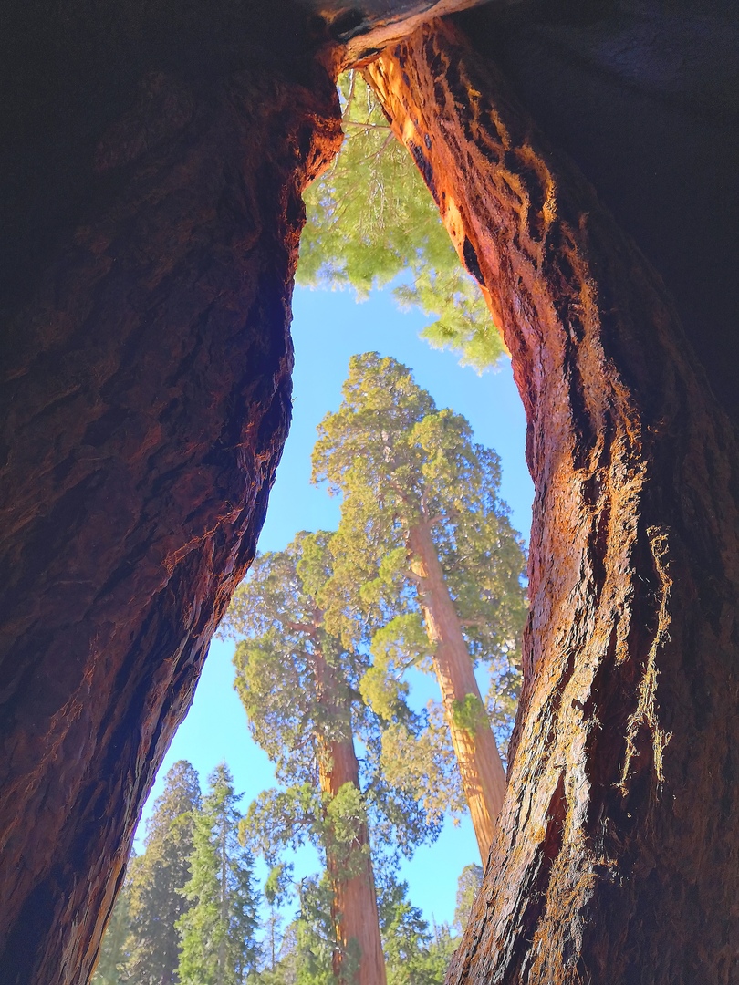 Ударим автопробегом по дикому западу! USA 2019 7-25 марта.