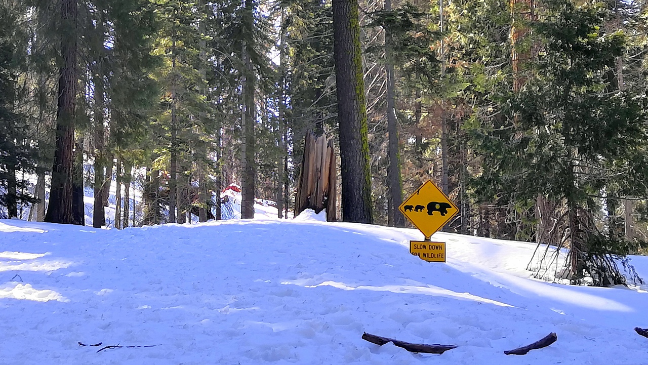 Ударим автопробегом по дикому западу! USA 2019 7-25 марта.