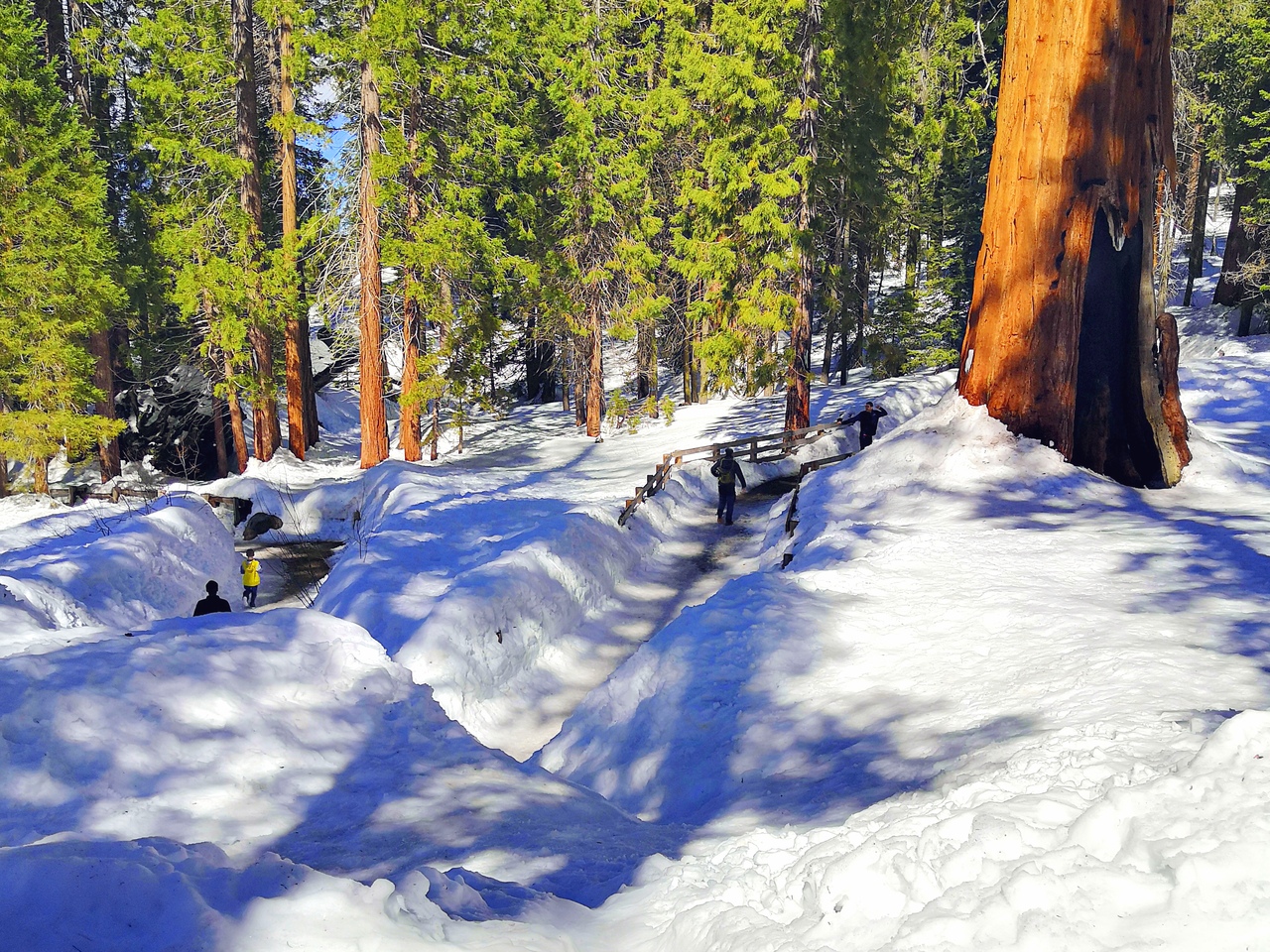 Ударим автопробегом по дикому западу! USA 2019 7-25 марта.