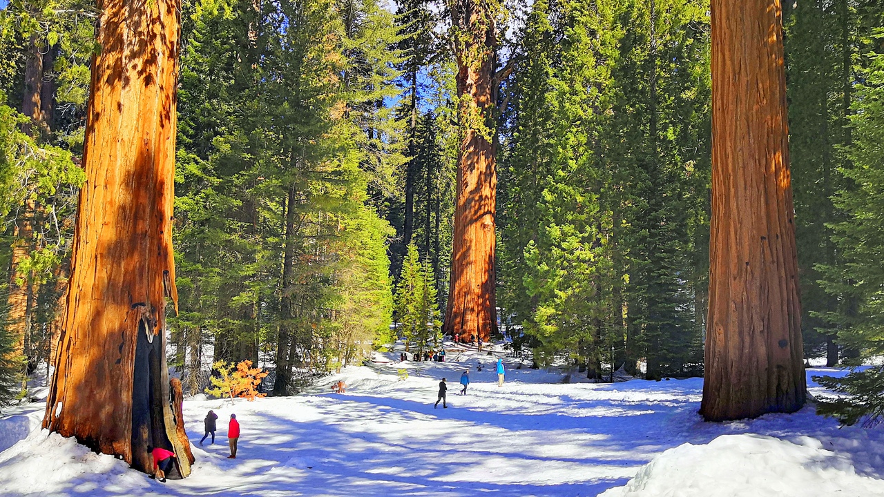 Ударим автопробегом по дикому западу! USA 2019 7-25 марта.