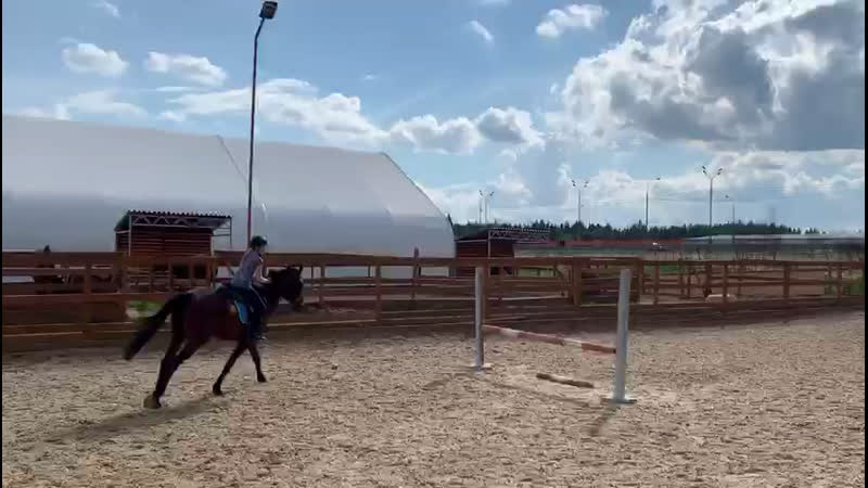 Ася🐴маршрут 60см