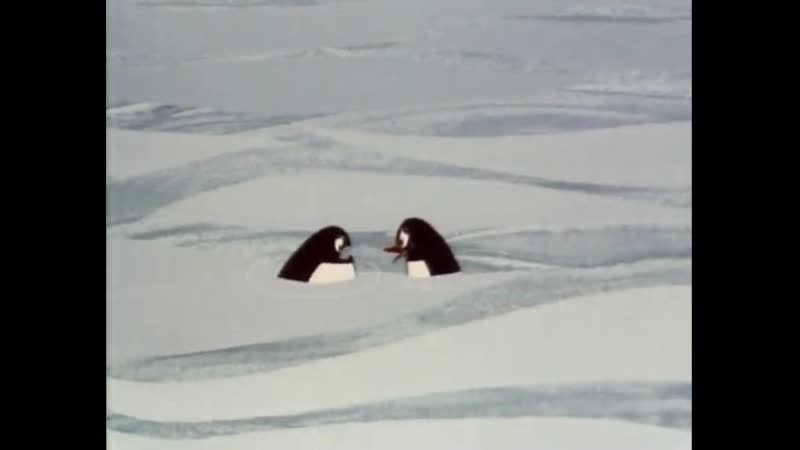 Советский_мультфильмПингвины1968__
