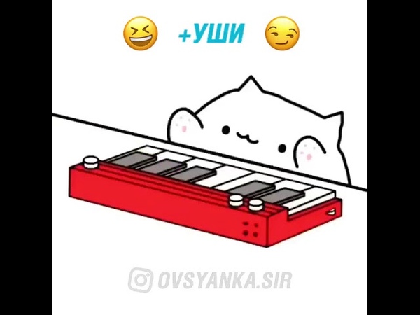(Bonga cat) Let’s GO