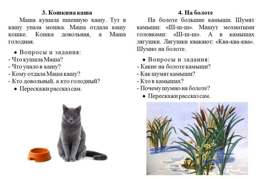Тексты для пересказа для детей 6 7 лет логопедические с картинками