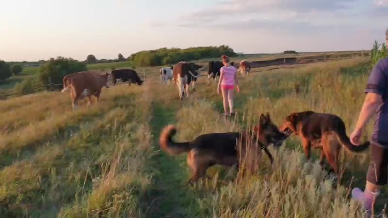 понимается Трахает жену на свадьбе понял, что имеете виду?