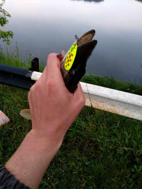Рыболовное место в Республике Мордовия — 54.123, 44.949