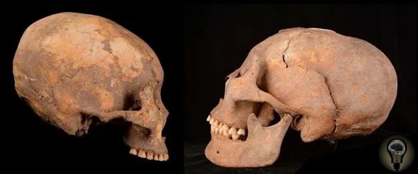 В Китае найдены вытянутые черепа возрастом 12000 лет Археологи из Китая нашли место, где совершались захоронения древних людей и обнаружили там 25 скелетов. Интересно то, что в 10 из них, черепа