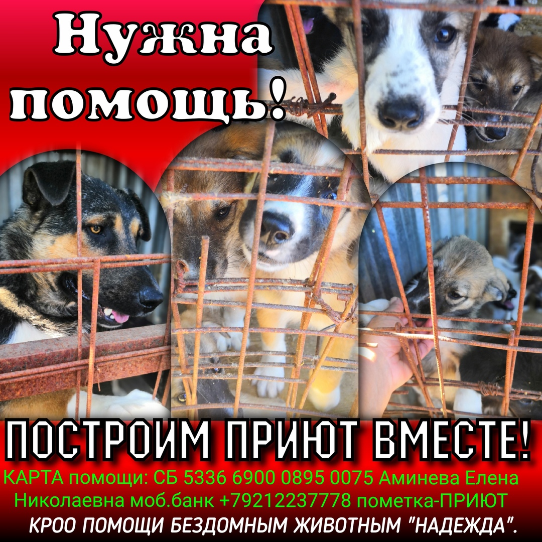 Пожар и обращение о помощи