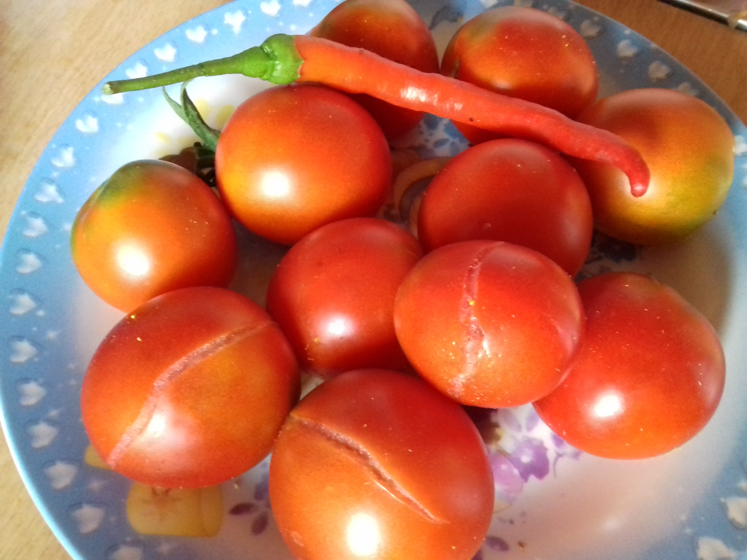 фотография из вКонтакте