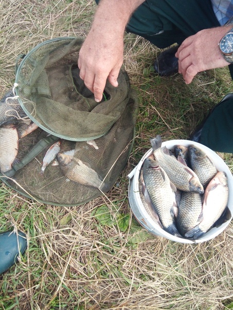 Рыбалка — Карабашское водохранилище, Республика Татарстан, 54.702, 52.717