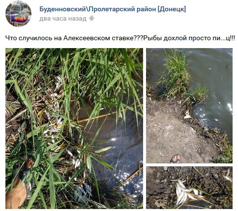 В Донецке под носом у боевиков случилось экологическое ЧП: фото В Донецке под носом у боевиков случилось экологическое ЧП: фото