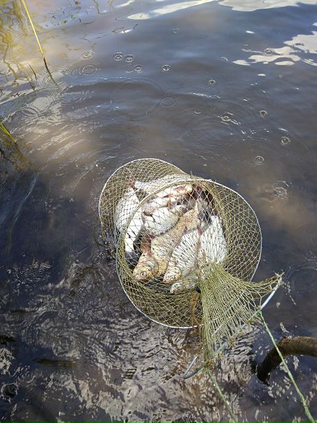 Рыбалка — Самара, Самарская область, 53.179, 50.303