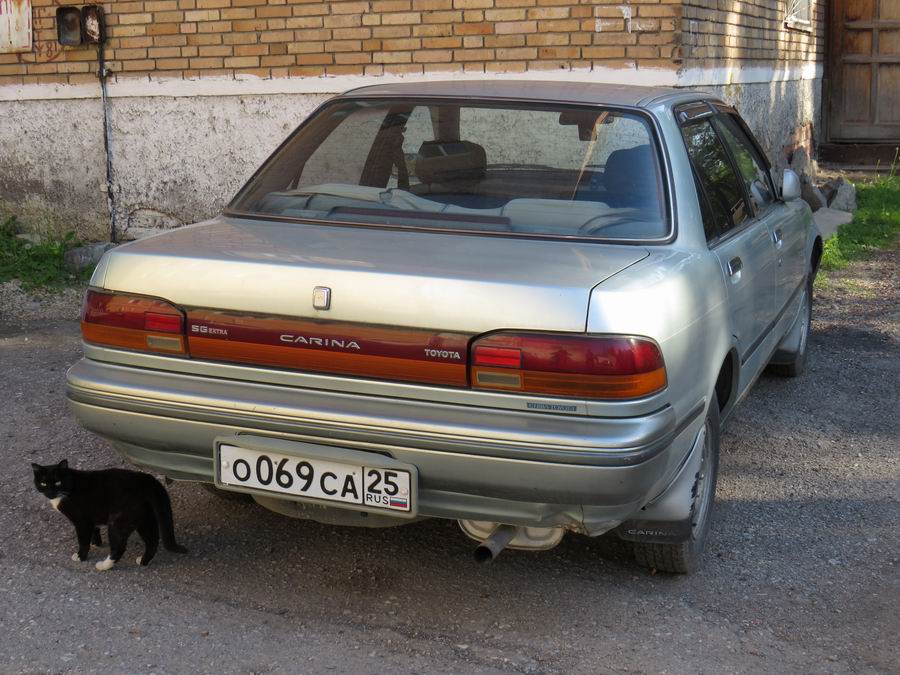 Транспорт Приморья - Июнь 2019 уаз,маз (мзкт),паз,chrysler,такси,грузовые автомобили,toyota,зил,заз,автобусы,камаз,hummer,уралаз (уралзис),mitsubishi,иж,дальний восток,mazda,кавз,автокран,краз,газ,international,suzuki,nissan,ваз,правый руль,азлк (ким-мзма)