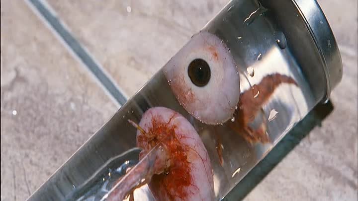3l H0mbr3 S1n P4s4d0 HDRip.avi