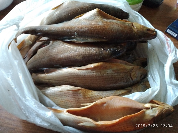 Рыбалка — Абаканская протока, Красноярский край, 55.987, 92.871