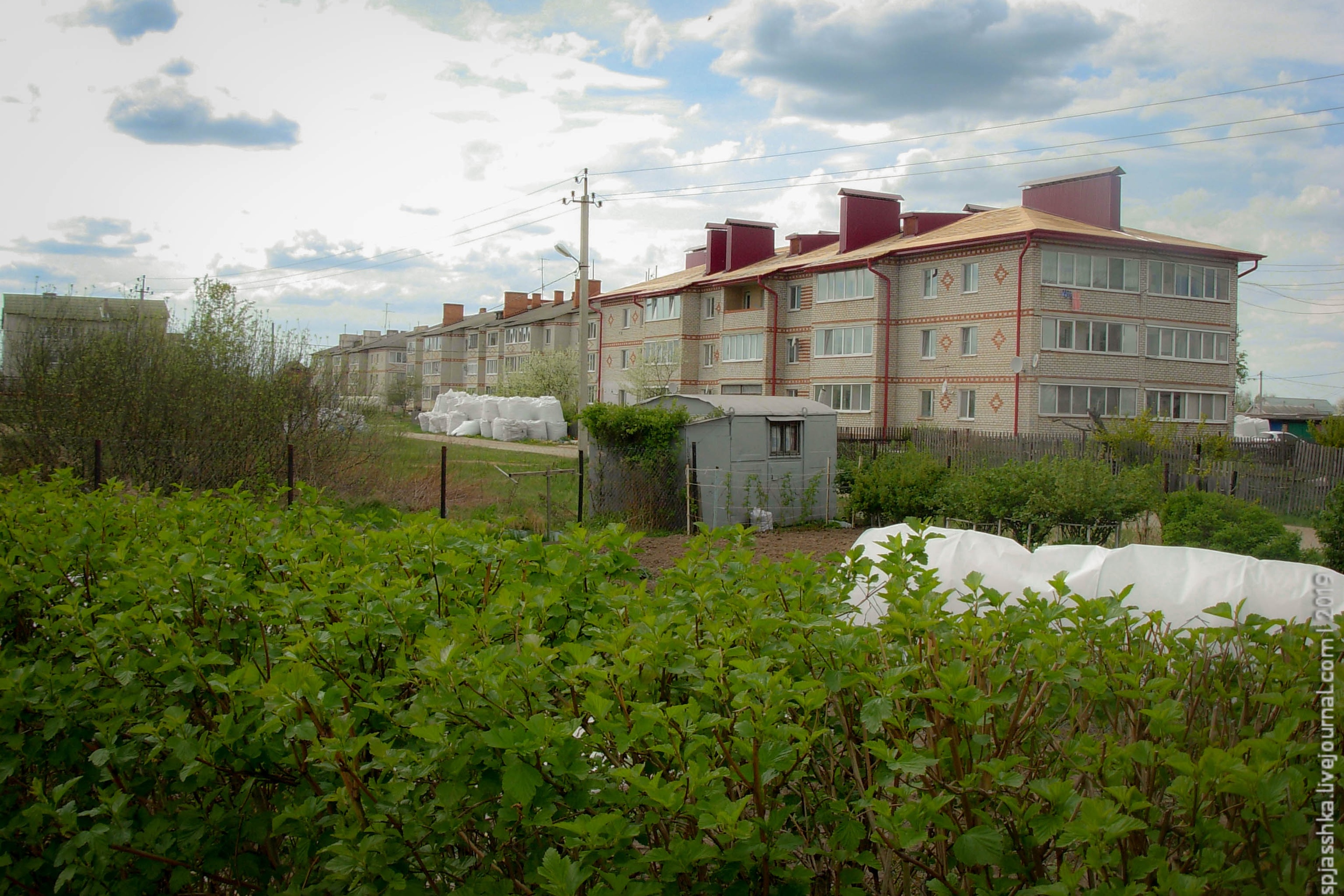 15. Трехэтажки с дворами, почти полностью отведенными под "городские огороды". Жители Нью-Йорка и Лондона обзавидуются, это же очень модная штука! 15. Трехэтажки с дворами, почти полностью отведенными под "городские огороды". Жители Нью-Йорка и Лондона обзавидуются, это же очень модная штука!