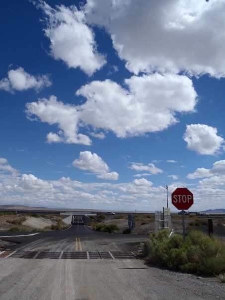 Марина Винокурова