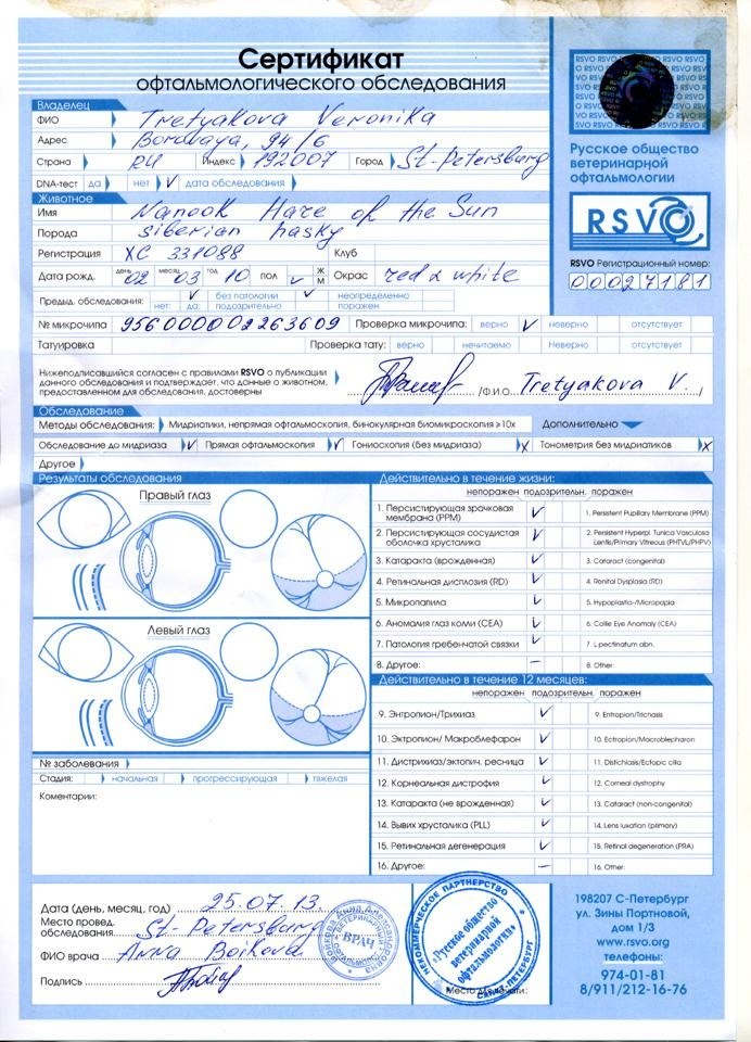 Бланк осмотра офтальмолога образец