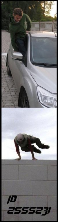 Алексей Андреев