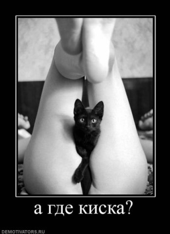 ����������� ������ ����� ����������� ����� ����