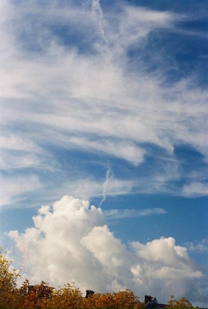 Алексей Пискарев