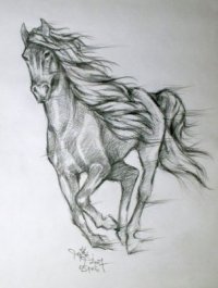 Как нарисовать конкур Как нарисовать конкур