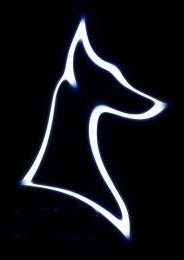 Doberman Doberman