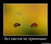 Ирина Кирюхина