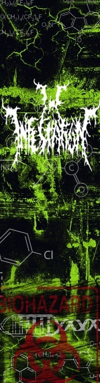Группа Infestation