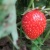 Фото пользователя Ольга