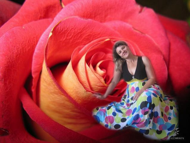 Светлана Колесник