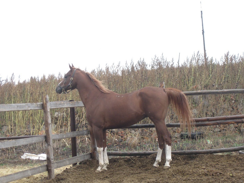 y_34920626.jpg