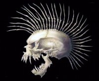 4аки Πахомов