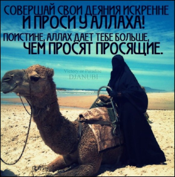 Года открытки, умные слова картинки мусульманские
