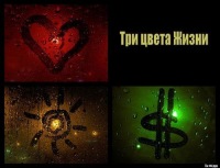 Алексей Минин
