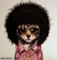 Андрей Шувалов  ΔΡΩΗβΑΣ