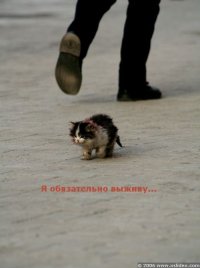 Александр Семецкий