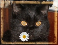 Натуська (*-*)