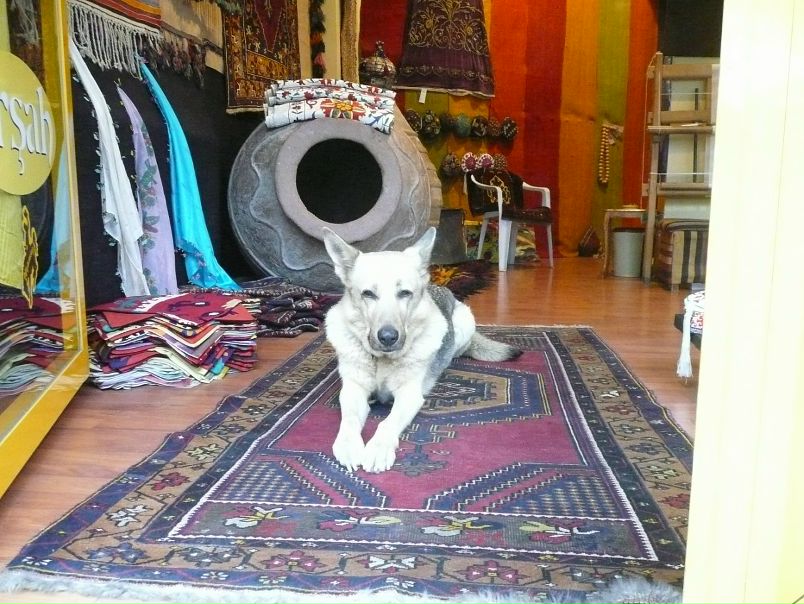 Скачать фотошоп пс6