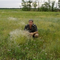 Сергей Кошелев