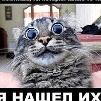 Серый Кошелев